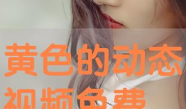 免费黄视频,揭秘免费黄视频背后的真相与风险